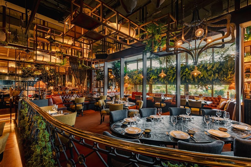 Coya Dubai - Restaurants in Four Seasons DIFC, Dubai | Best of Dubai