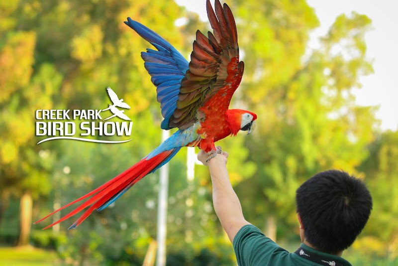 Creek Park Bird Show - Attractions in Dubai Dolphinarium Building - Street - Umm Hurair 2 - Dubai - United Arab Emirates, Dubai | Best of Dubai