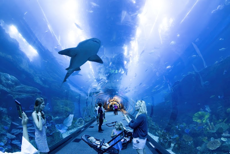 Dubai Aquarium & Underwater Zoo - Attractions in Downtown Dubai - Dubai - United Arab Emirates, Dubai | Best of Dubai