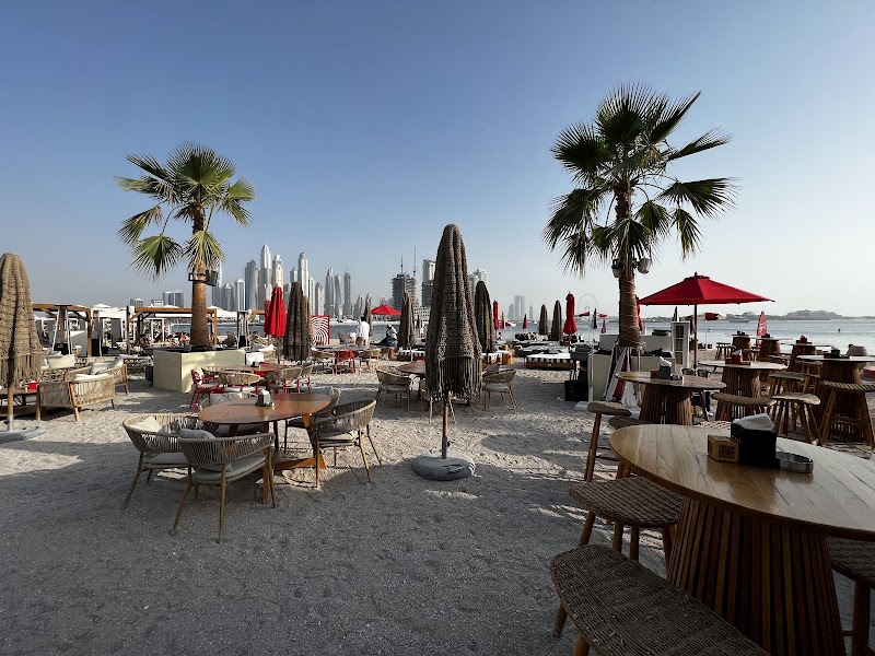 February 30 - Beach Clubs in West beach Palm - Jumeirah - Dubai - United Arab Emirates, Dubai | Best of Dubai