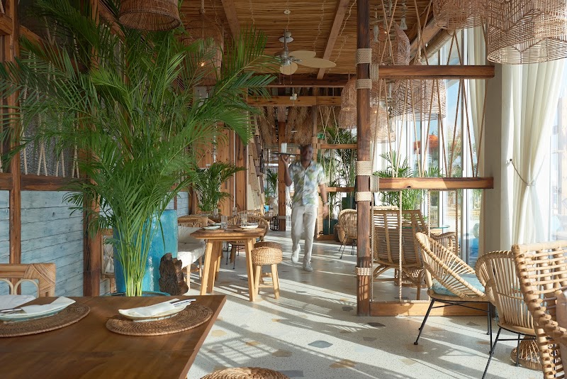 KOKO BAY - Beach Clubs in West beach Palm - Jumeirah - Dubai - United Arab Emirates, Dubai | Best of Dubai