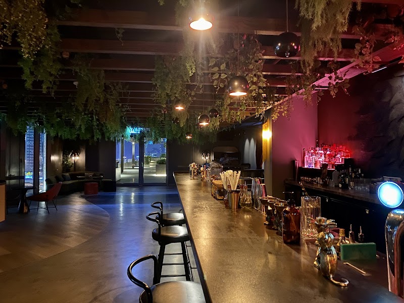 Monkey Bar Dubai - Bars in Trade Center St - off Sheikh Zayed Road - Trade Centre - Trade Centre 2 - Dubai - United Arab Emirates, Dubai | Best of Dubai